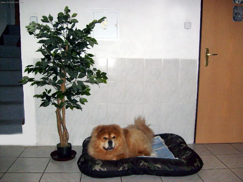 Foto: Ustora Haltrava