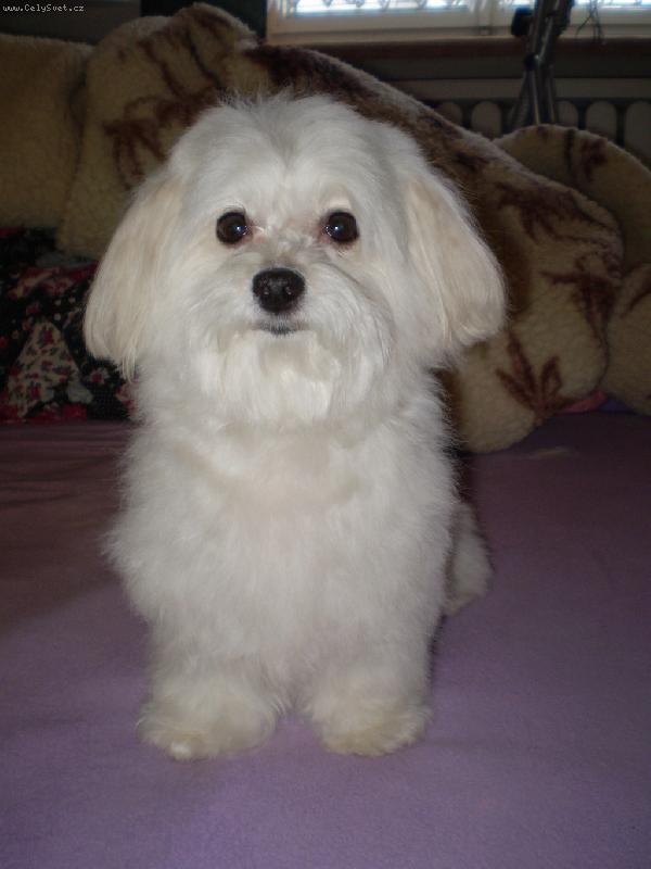 Foto: Bety je u�esan�