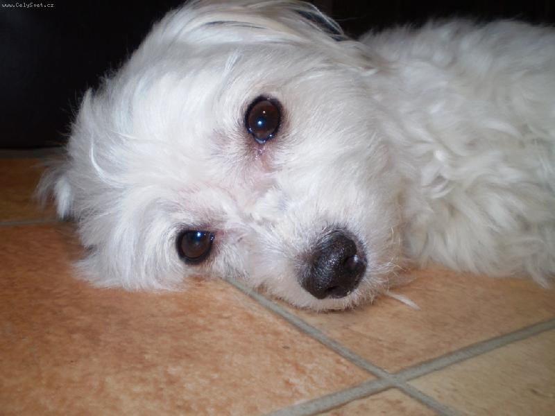 Foto: T���k jsem unaven�