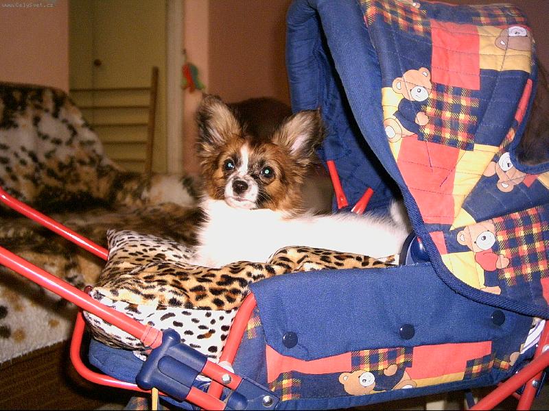 Foto: Miminko