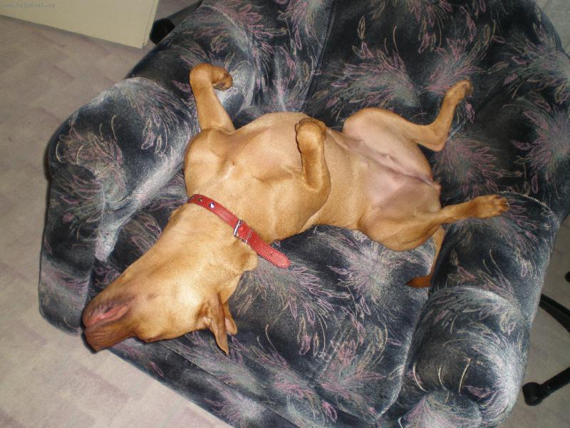 Foto: Sherry-pad���m !!!