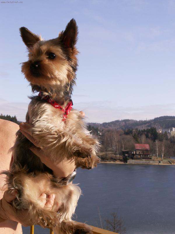 Foto: jessinka