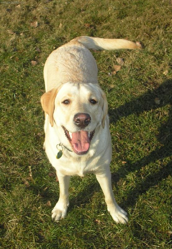 Foto: Mil�ek m�j...-:)