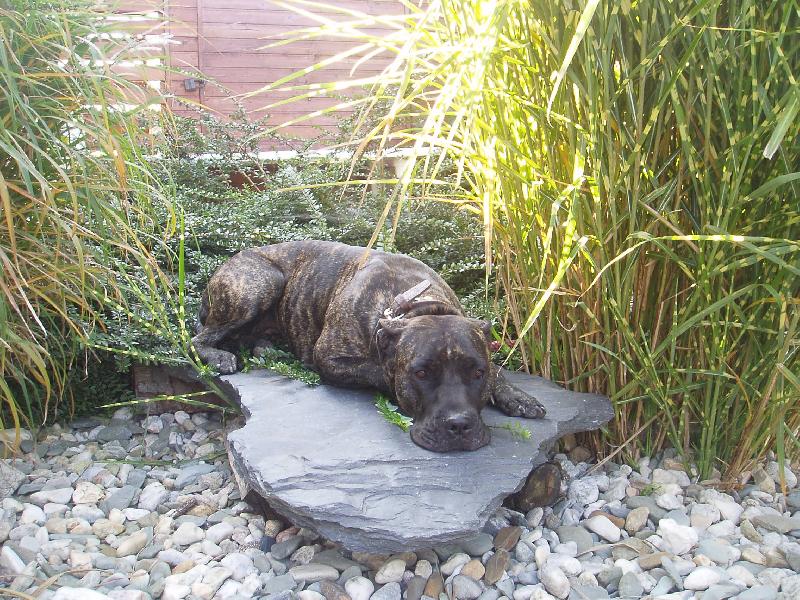 Foto: Bella-20m�s�c�