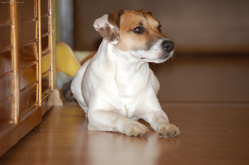 Foto: Spike