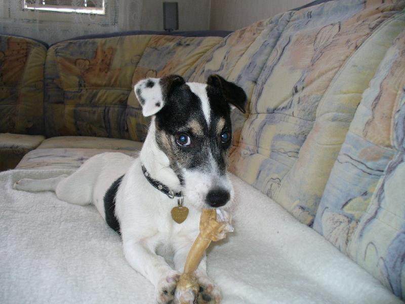 Foto: Jack-u� m�m 5 m�s�c�