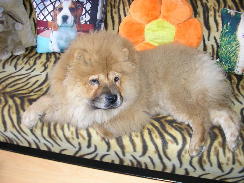 Foto: Nelinka-relaxace