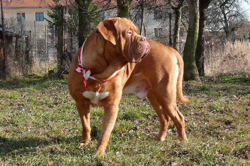 Foto: zkus p�ij�t bl�