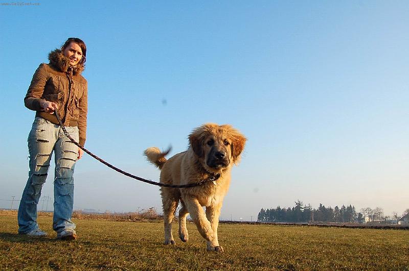 Foto: arch�-5 m�s�c�