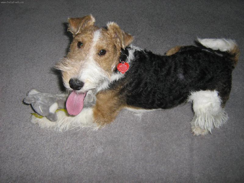 Foto: s obl�benou hra�kou