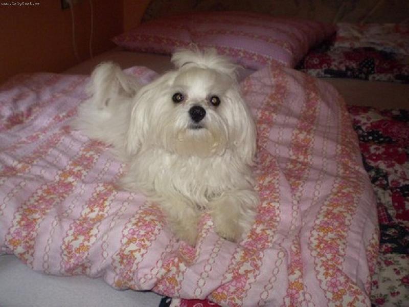 Foto: Na�e S�ra