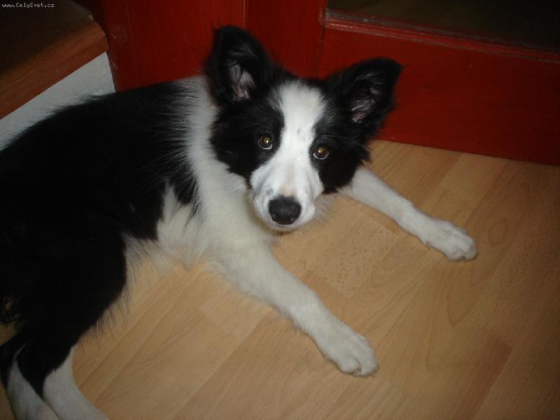 Foto: Netop����r