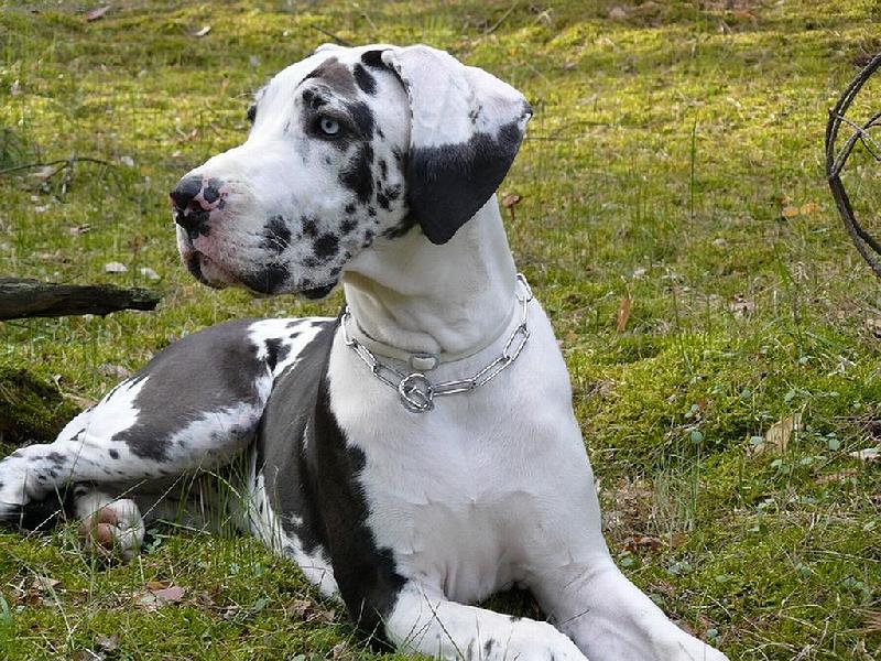 Foto: Bentley Catley Ranch