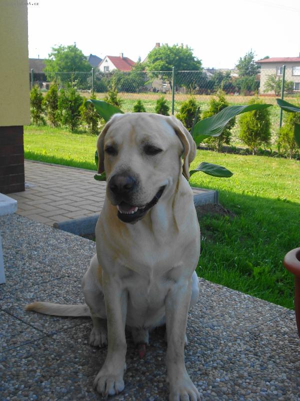 Foto: Max-Max