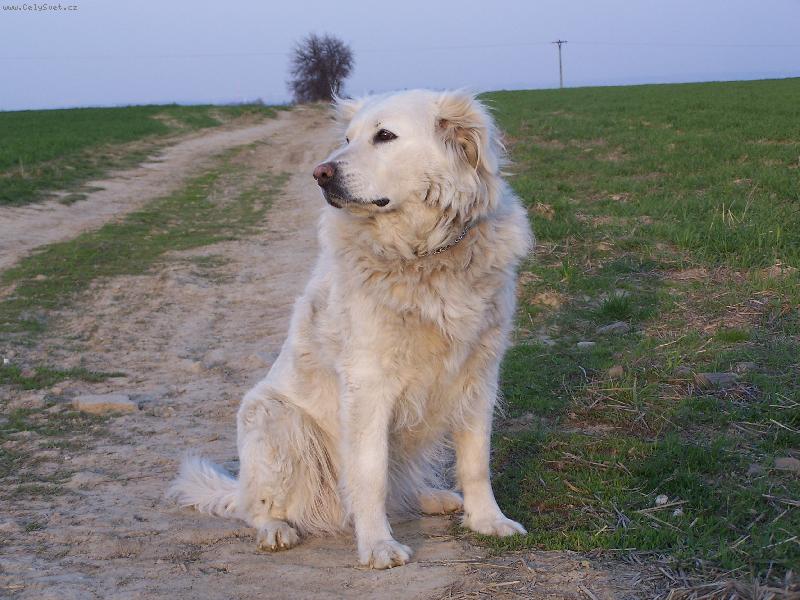 Foto: slovensk� �uva�