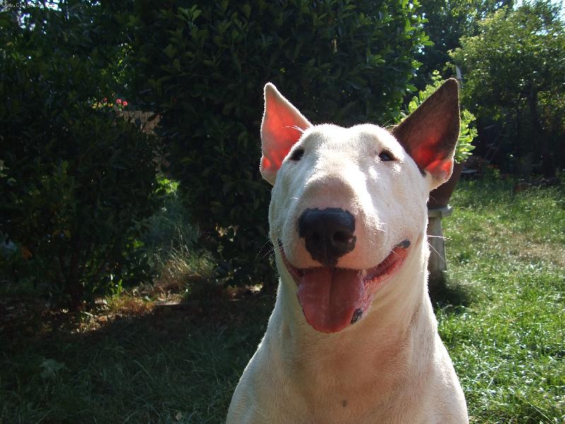 Foto: Bulty-www.bulty.sk