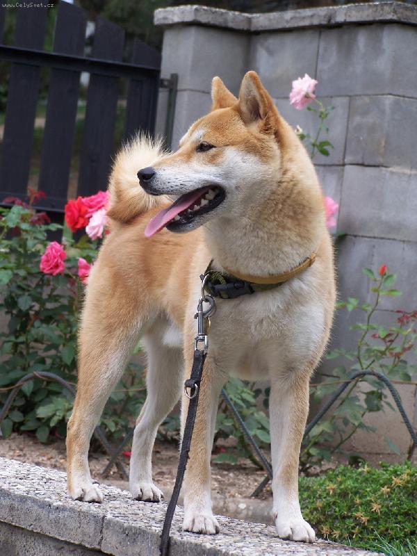 Foto: Casper