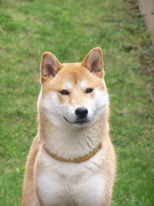 Foto: Casper