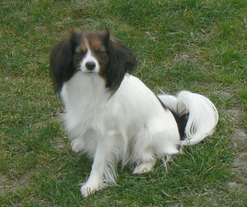 Foto: Aiko Arthur Bell