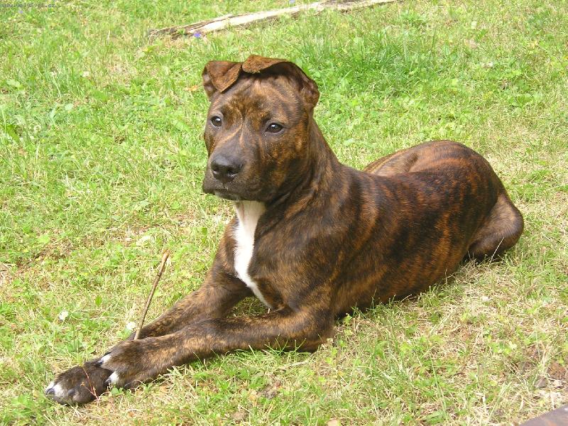 Foto: Co se d�je ?