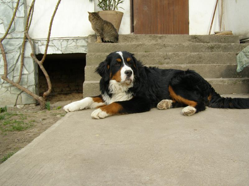 Foto: u� p�jdem ven