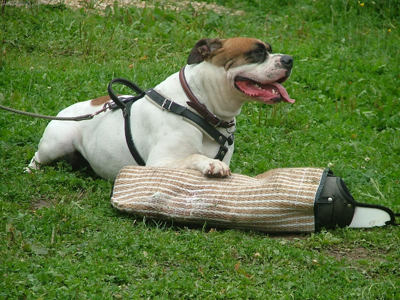 Foto: ...po obran�ch...