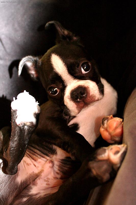 Foto: Ale�ek-Nebudit, pros�m!!!