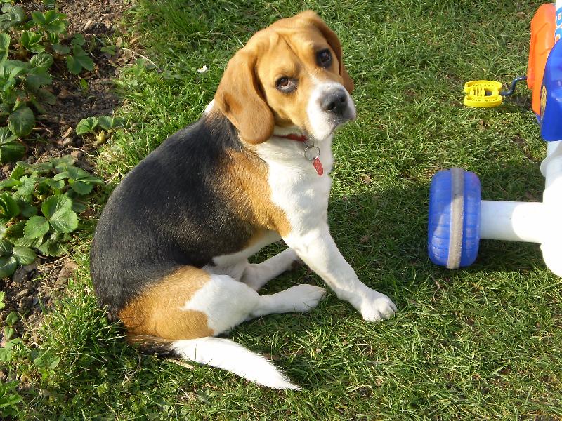 Foto: Hl�d�n� je nuda