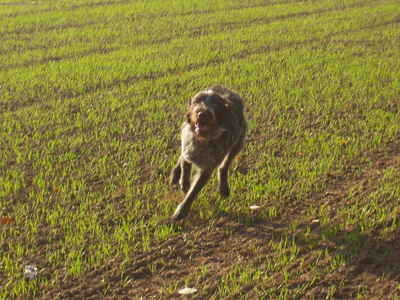 Foto: Barry od Hlavn�ku