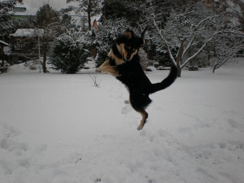 Foto: ��astnej Akim