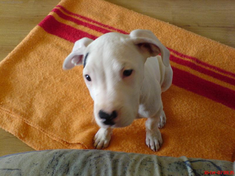 Foto: Na�e miminko