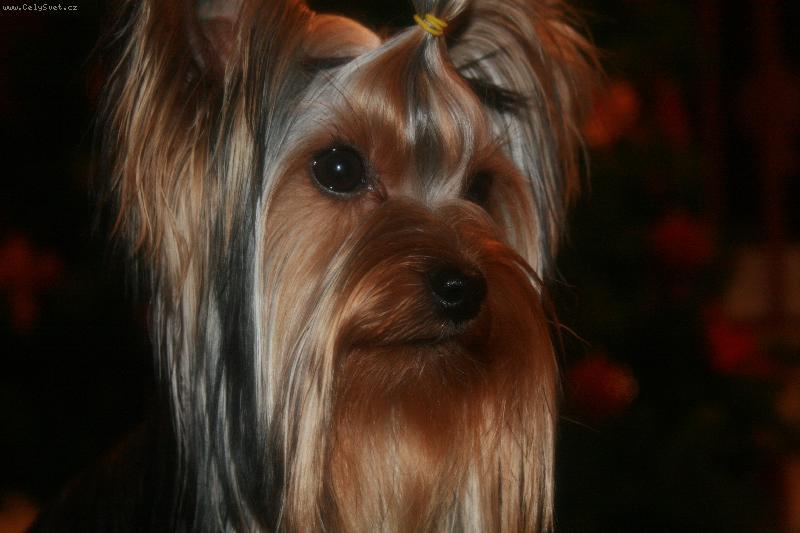 Foto: Qaika