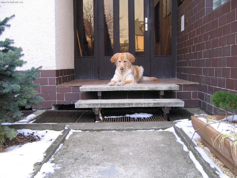 Foto: Bona Dea Siderecan-Na�e "blond�nka" =o)