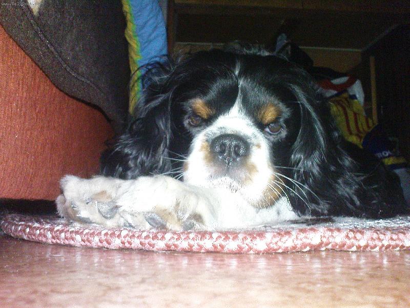 Foto: Charlie-spinka