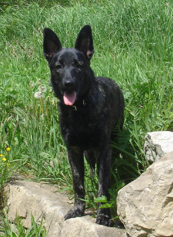 Foto: Er�ika-na proch�zce