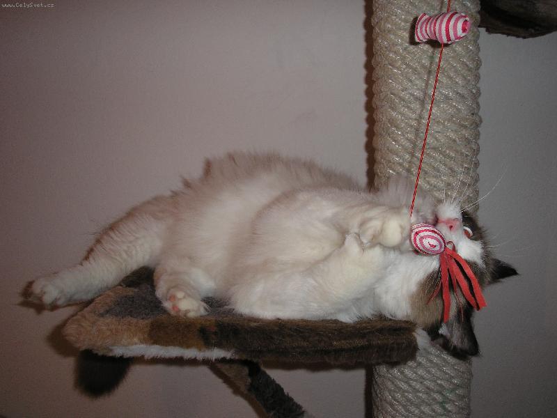 Foto: Samuel-A m�m t� !!!