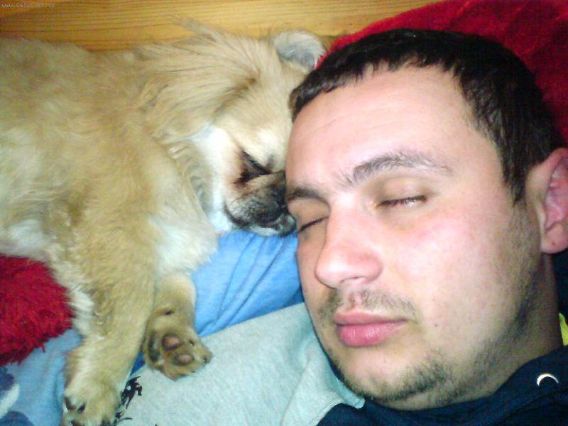 Foto: �a�u�ko spinka-�a�ko