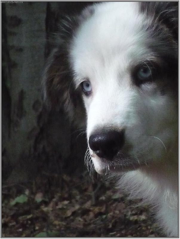 Foto: soust�ed�m se...neru�it