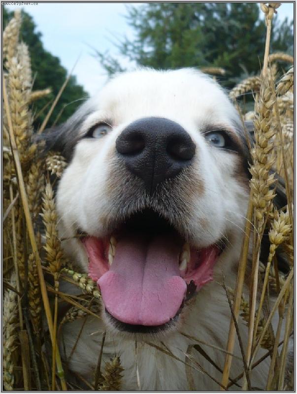 Foto: ���...na�el jsem t�