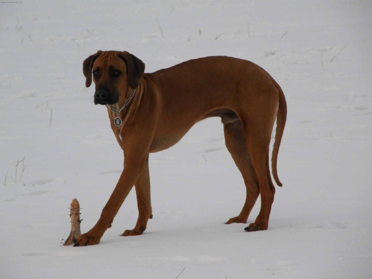 Foto: Nathan na poli