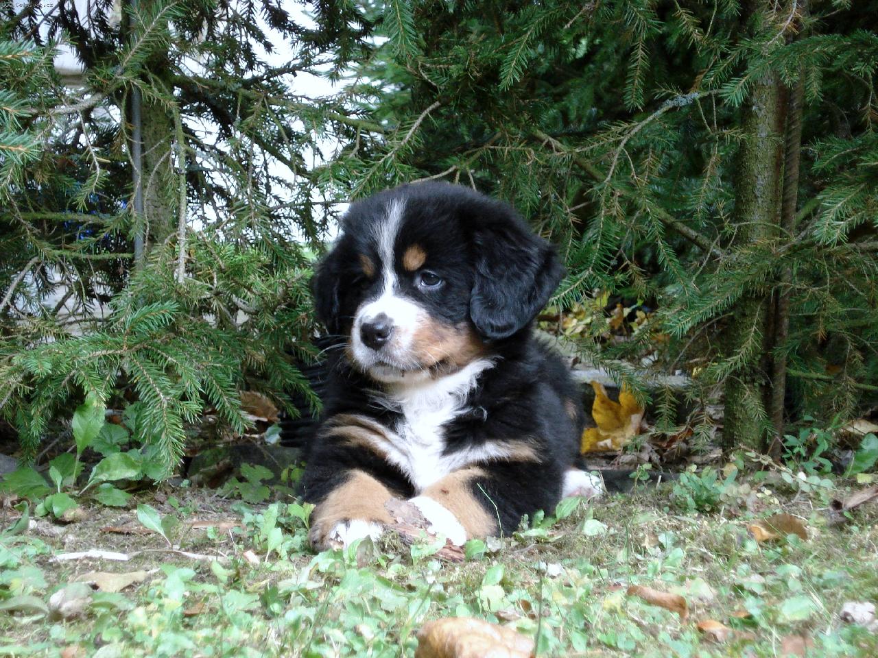 Foto: Aimee