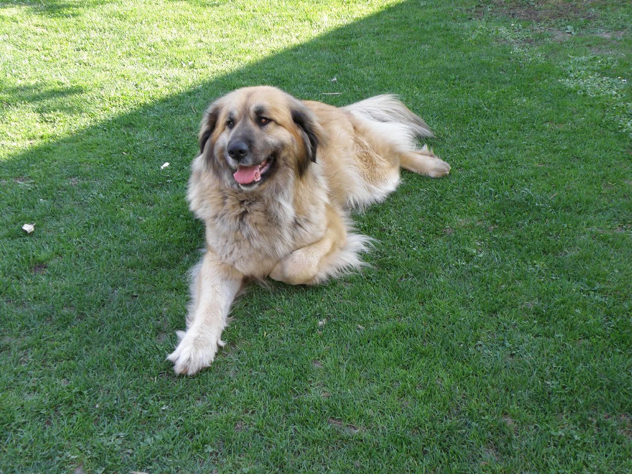 Foto: Borinka-Borinka