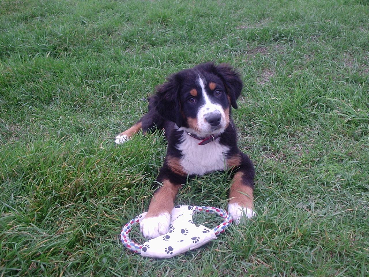 Foto: Benny-Benny na proch�zce