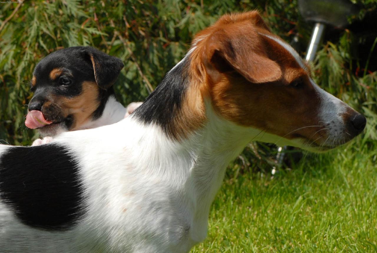 Foto: Ka�enka a Ad�mek