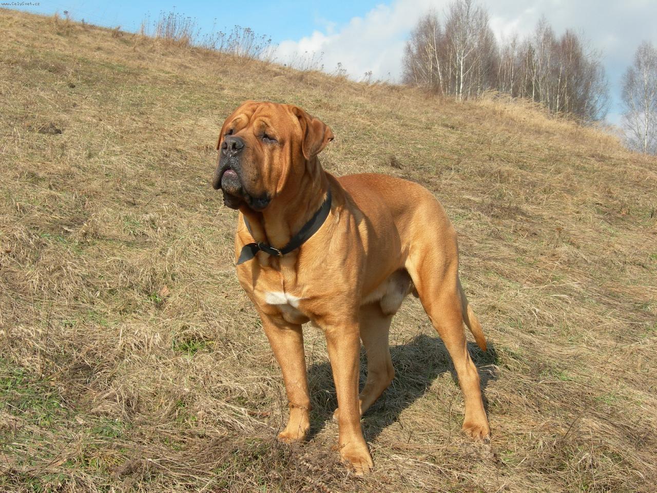 Foto: Schiro