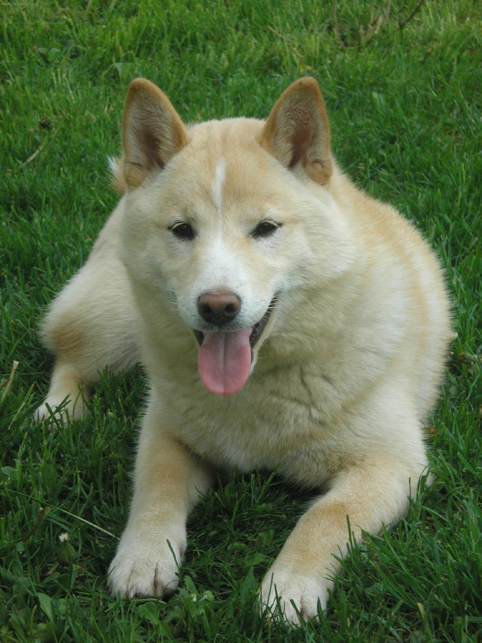 Foto: Suki-n� v��n� sm�ek