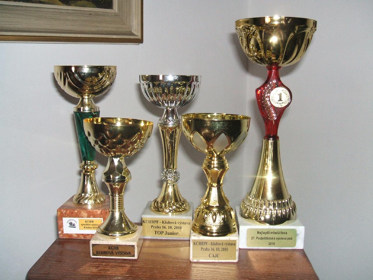 Foto:  Poh�ry-N� za��tek