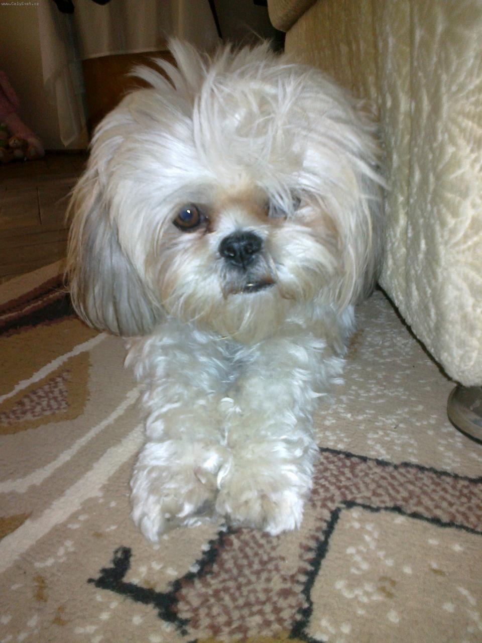 Foto: jenny