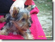 Zaslou�en� odpo�inek