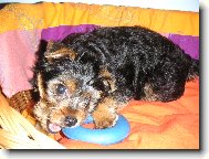 Maxik s kole�kem:-)